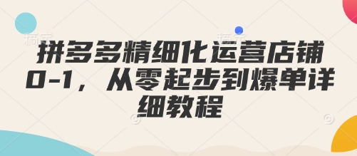 拼多多精细化运营店铺0-1，从零起步到爆单详细教程-泱泱学习社