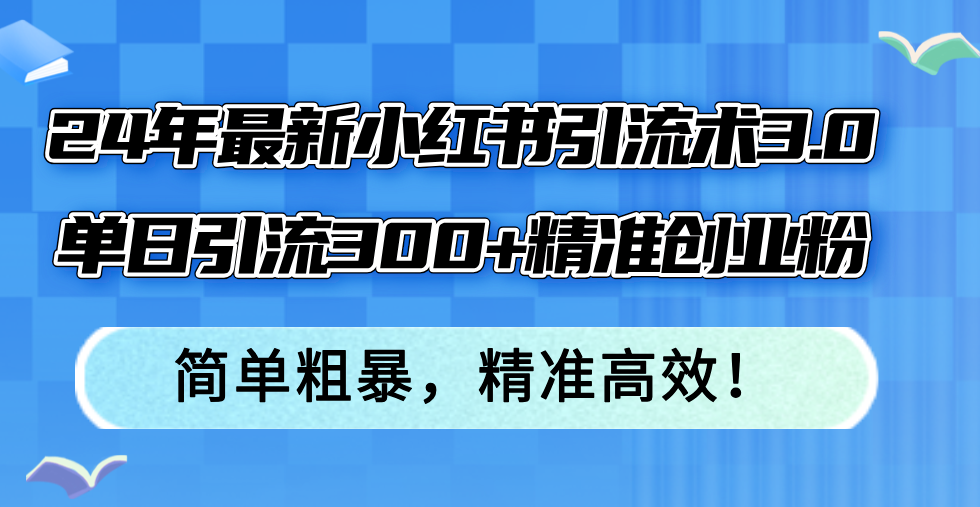 24年最新小红书引流术3.0，单日引流300+精准创业粉，简单粗暴，精准高效！-泱泱学习社