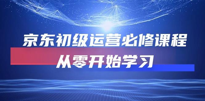 京东初级运营必修课程，从零开始学习(49节课-泱泱学习社