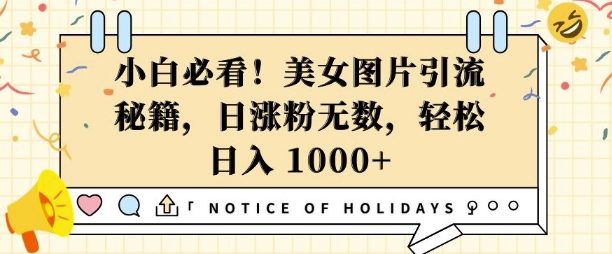 小白必看，美女图片引流秘籍，日涨粉无数，轻松日入几张【揭秘】-泱泱学习社