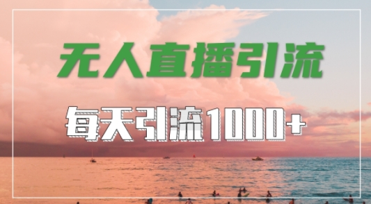 抖音快手视频号全平台通用，无人直播引流法，超暴力引流1000+高质量精准创业粉【揭秘】-泱泱学习社