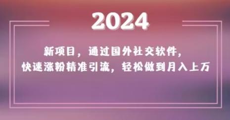 2024新项目，通过国外社交软件，快速涨粉精准引流，轻松做到月入上万【揭秘】-泱泱学习社