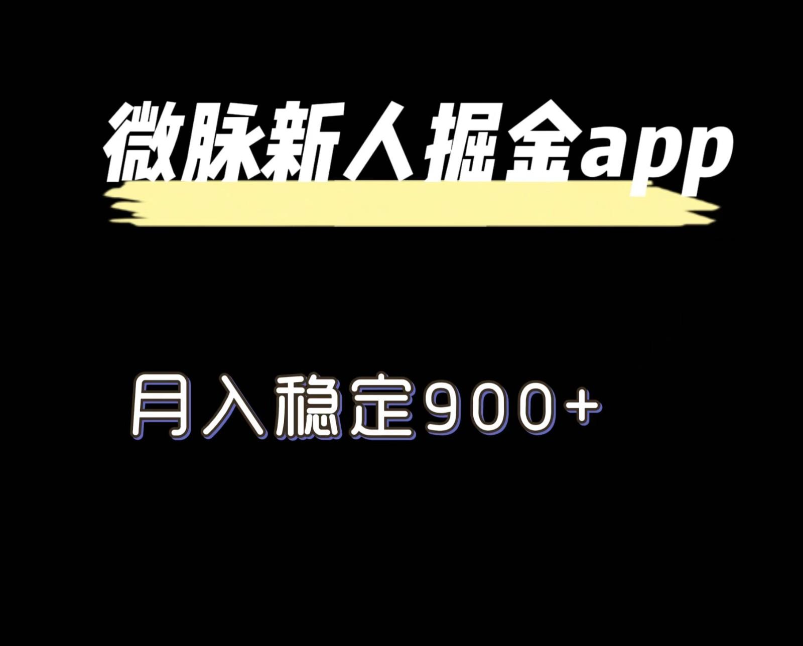 最新微脉长久项目，拉新掘金，月入稳定900+-泱泱学习社