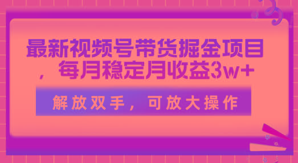 最新视频号带货掘金项目，每月稳定月收益3w+，解放双手，可放大操作-泱泱学习社