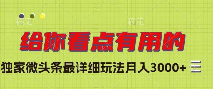 独家微头条最详细玩法，月入3000+【揭秘】-泱泱学习社