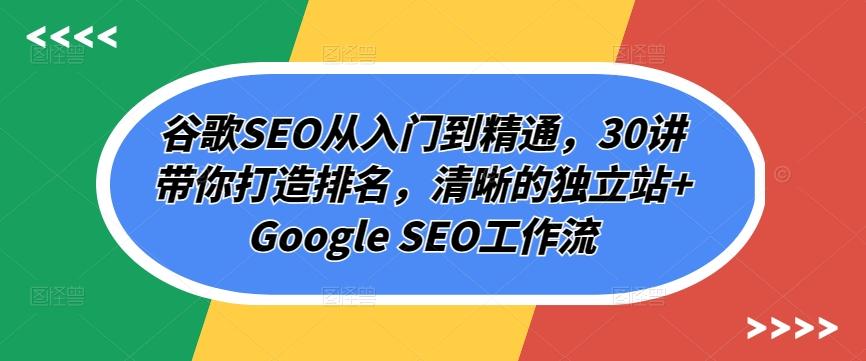 谷歌SEO从入门到精通，30讲带你打造排名，清晰的独立站+Google SEO工作流-泱泱学习社