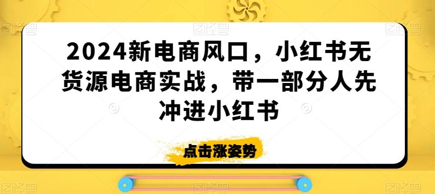 2024新电商风口，小红书无货源电商实战，带一部分人先冲进小红书-泱泱学习社