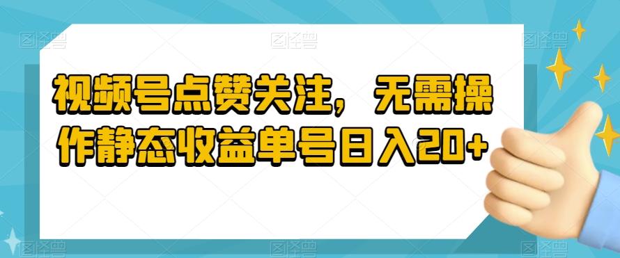 视频号点赞关注，无需操作静态收益单号日入20+-泱泱学习社