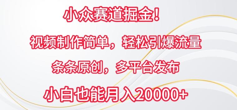 小众赛道掘金，视频制作简单，轻松引爆流量，条条原创，多平台发布【揭秘】-泱泱学习社