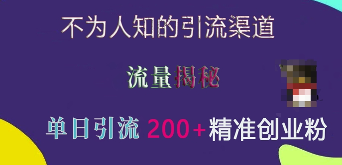 不为人知的引流渠道，流量揭秘，实测单日引流200+精准创业粉【揭秘】-泱泱学习社