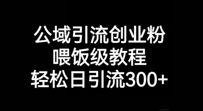 公域引流创业粉，喂饭级教程，轻松日引流300+【揭秘】-泱泱学习社