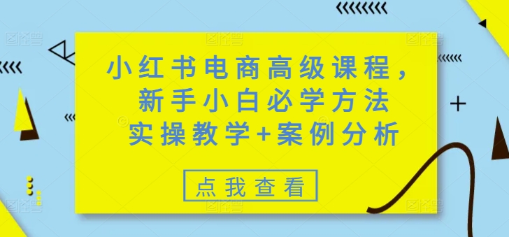 小红书电商高级课程，新手小白必学方法，实操教学+案例分析-泱泱学习社