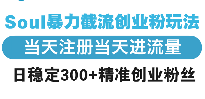 Soul暴力截流创业粉玩法，当天注册当天进流量，日稳定300+精准创业粉丝-泱泱学习社