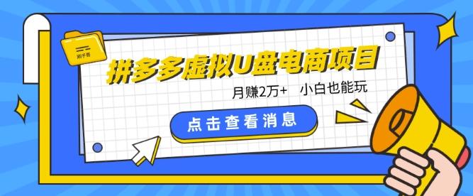 拼多多虚拟U盘电商红利项目：月赚2万+，新手小白也能玩-泱泱学习社