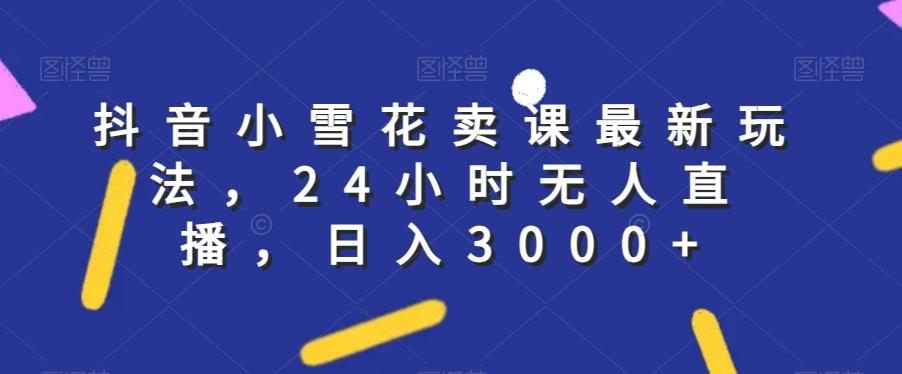 抖音小雪花卖课最新玩法，24小时无人直播，日入3000+【揭秘】-泱泱学习社