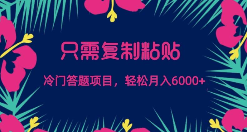 只需复制粘贴，冷门答题项目，轻松月入6000-泱泱学习社