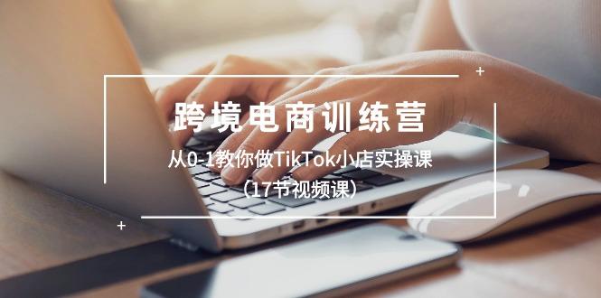 跨境电商训练营：从0-1教你做TikTok小店实操课(17节视频课-泱泱学习社
