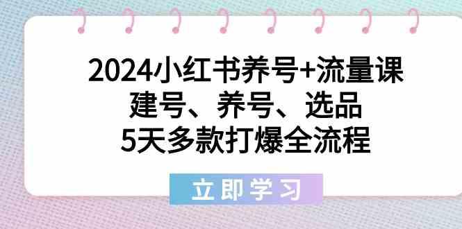 2024小红书养号+流量课：建号、养号、选品，5天多款打爆全流程-泱泱学习社