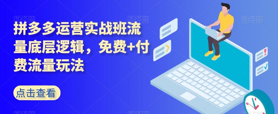 拼多多运营实战班流量底层逻辑，免费+付费流量玩法-泱泱学习社