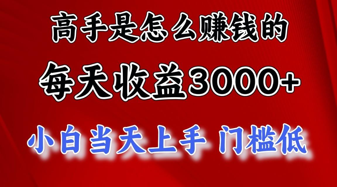 高手是怎么赚钱的，一天收益3000+，闷声发财项目，不是一般人能看懂的-泱泱学习社