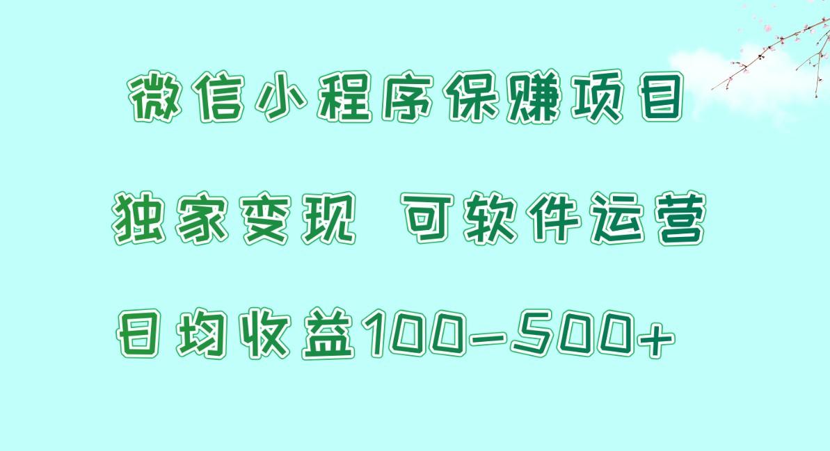 微信小程序保赚项目，日均收益100~500+，独家变现，可软件运营-泱泱学习社