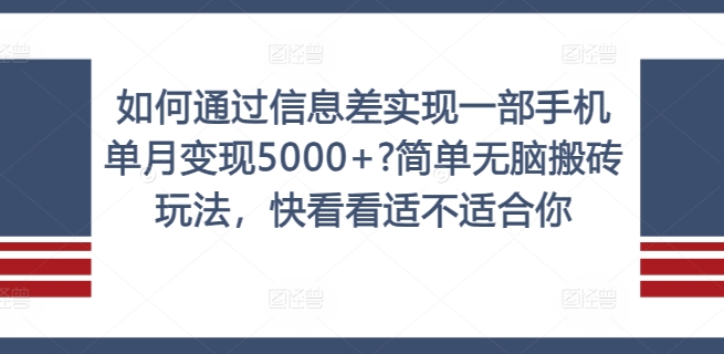 如何通过信息差实现一部手机单月变现5000+?简单无脑搬砖玩法，快看看适不适合你【揭秘】-泱泱学习社
