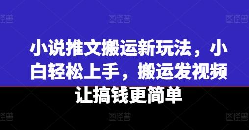 小说推文搬运新玩法，小白轻松上手，搬运发视频让搞钱更简单-泱泱学习社