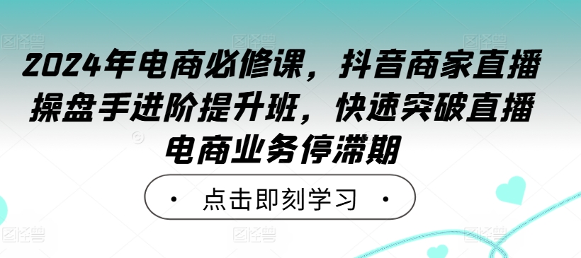 2024年电商必修课，抖音商家直播操盘手进阶提升班，快速突破直播电商业务停滞期-泱泱学习社