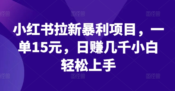小红书拉新暴利项目，一单15元，日赚几千小白轻松上手【揭秘】-泱泱学习社