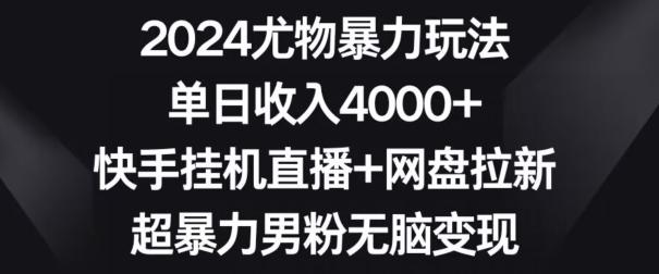 2024尤物暴力玩法，单日收入4000+，快手挂机直播+网盘拉新，超暴力男粉无脑变现【揭秘】-泱泱学习社