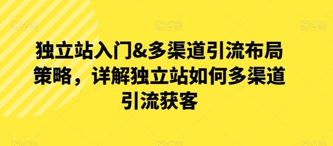 独立站入门&多渠道引流布局策略，详解独立站如何多渠道引流获客-泱泱学习社