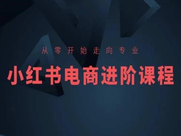 从零开始走向专业，小红书电商进阶课程-泱泱学习社