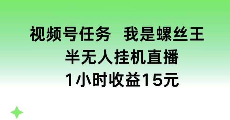 视频号任务，我是螺丝王， 半无人挂机1小时收益15元【揭秘】-泱泱学习社
