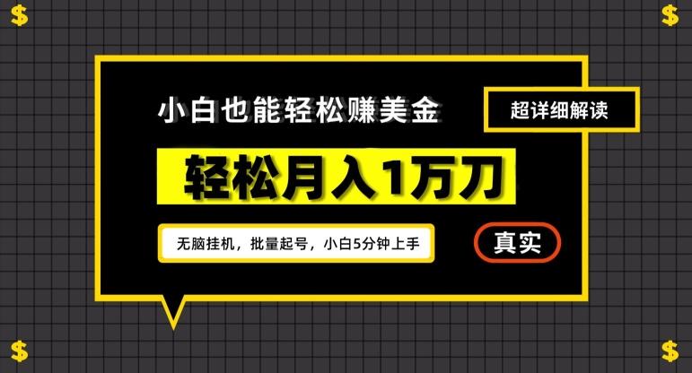 谷歌看广告撸美金2.0，无脑挂机，多号操作，月入1万刀【揭秘】-泱泱学习社