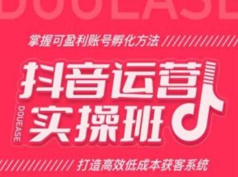 抖音运营实操班，掌握可盈利账号孵化方法，打造高效低成本获客系统-泱泱学习社