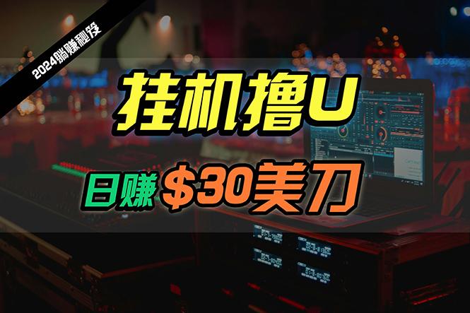 (10013期)日赚30美刀，2024最新海外挂机撸U内部项目，全程无人值守，可批量放大-泱泱学习社
