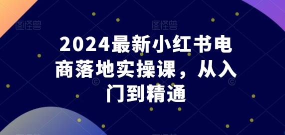 2024最新小红书电商落地实操课，从入门到精通-泱泱学习社
