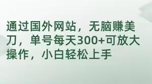 通过国外网站，无脑赚美刀，单号每天300+可放大操作，小白轻松上手【揭秘】-泱泱学习社