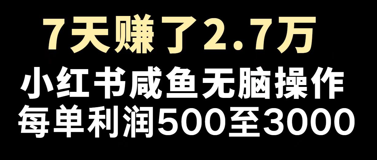 最赚钱项目之一，2025爆火，逆风翻盘！-泱泱学习社