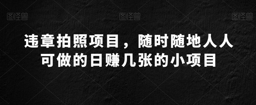 违章拍照项目，随时随地人人可做的日赚几张的小项目-泱泱学习社