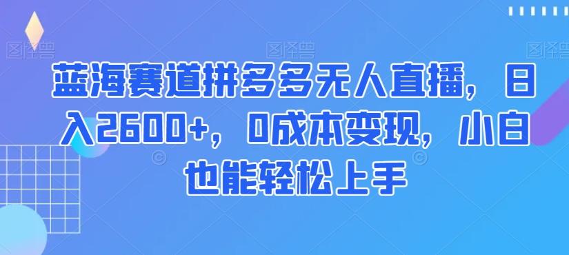 蓝海赛道拼多多无人直播，日入2600+，0成本变现，小白也能轻松上手【揭秘】-泱泱学习社