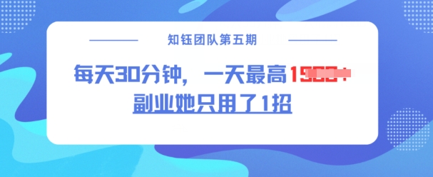 副业她只用了1招，每天30分钟，无脑二创，一天最高1.5k-泱泱学习社