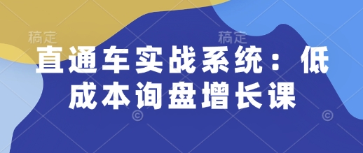 直通车实战系统：低成本询盘增长课，让个人通过技能实现升职加薪，让企业低成本获客，订单源源不断-泱泱学习社