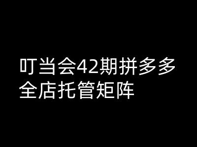 叮当会拼多多打爆班原创高阶技术第42期，拼多多全店托管矩阵-泱泱学习社