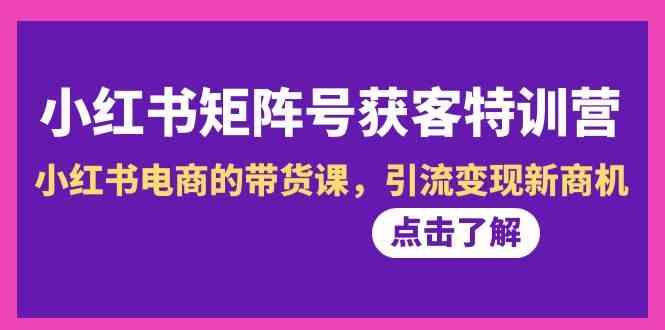 小红书矩阵号获客特训营-第10期，小红书电商的带货课，引流变现新商机-泱泱学习社