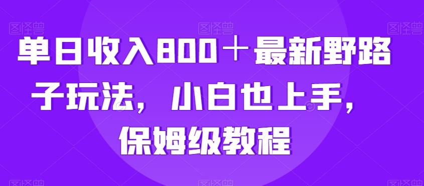 单日收入800＋最新野路子玩法，小白也上手，保姆级教程-泱泱学习社