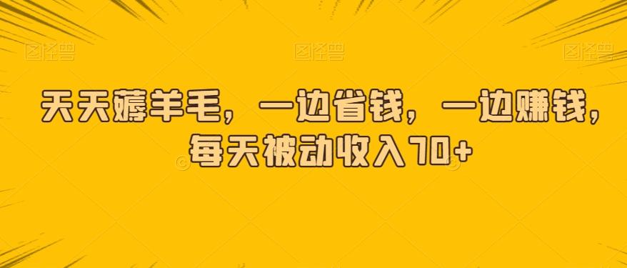 天天薅羊毛，一边省钱，一边赚钱，每天被动收入70+-泱泱学习社