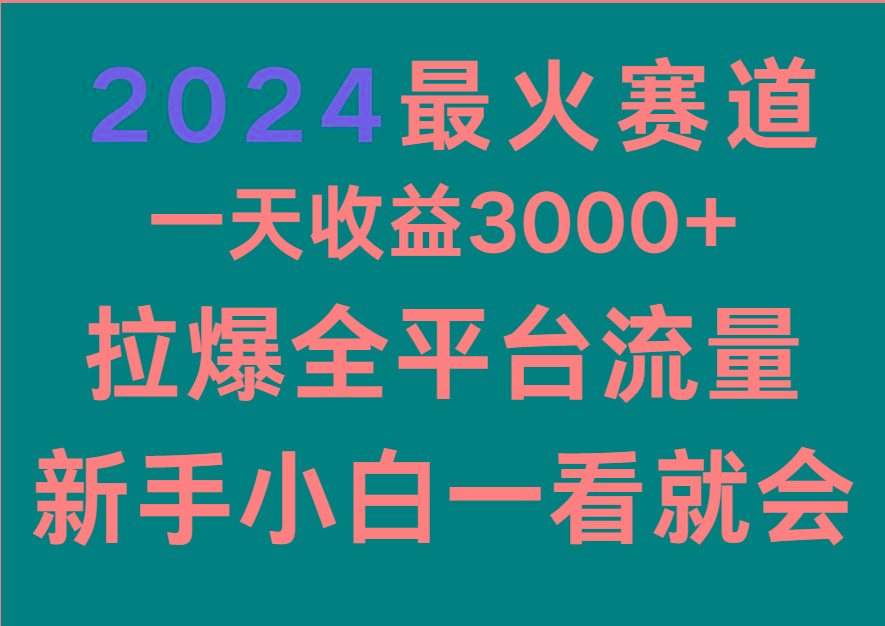 2024最火赛道，一天收一3000+.拉爆全平台流量，新手小白一看就会-泱泱学习社