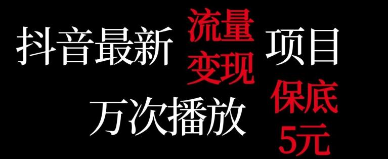 抖音流量变现，万次播放保底5元，额外收入-泱泱学习社
