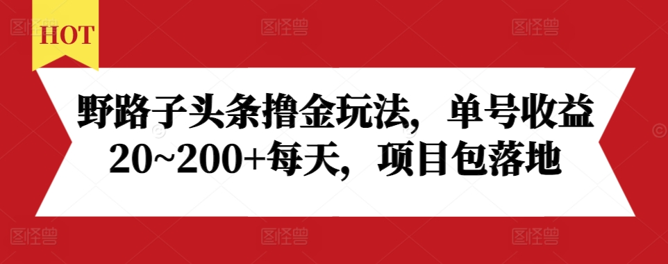 野路子头条撸金玩法，单号收益20~200+每天，项目包落地-泱泱学习社